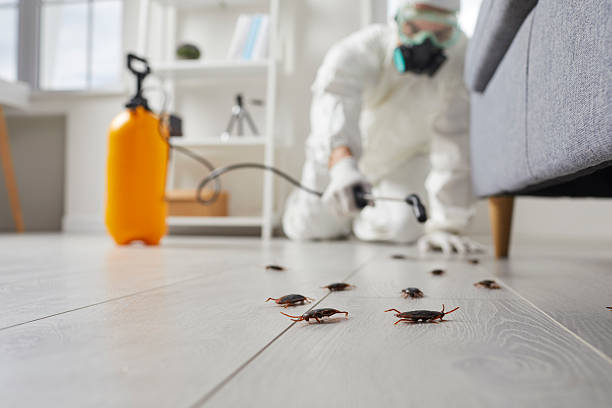Commercial Kitchen Cockroach Control in Sherwood